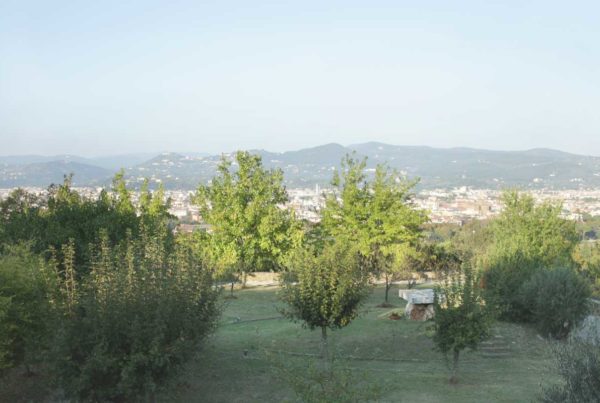 Foto del giardino - festa di San Giovanni al Monte alle Croci